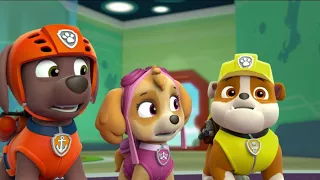 Paw Patrol, 16-peice Puzzle # 3 - Rubble Chase Zuma & Skye