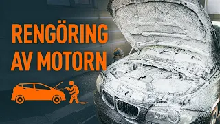 5 vanliga misstag vid motortvätt | AUTODOC tipsar