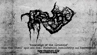 Theurgy - "Knowledge of the Invisible" (4-way Split | NSE 2021)