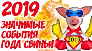 2019 год: на что стоит обратить внимание