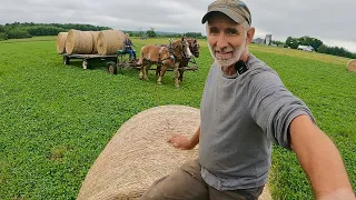 Brenda's FIRST TIME driving Baron!! // Working on my Hay Wagon #504