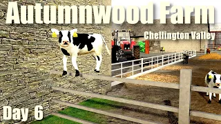 DIY Farming Simulator 19 - Spreading Fert and Getting some Diesel - Day 6
