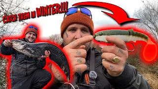 How To Catch Wels Catfish On Lures! IN THE UK!!