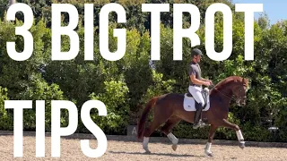 3 TIPS FOR A BIGGER TROT!