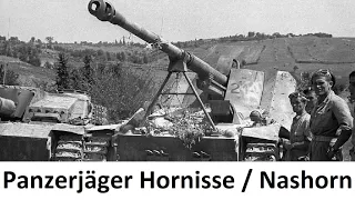Soldat erklärt den Panzerjäger Hornisse / Nashorn Mythos 1943 - 1944