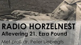 Radio Horzelnest - Aflevering 21: Ezra Pound