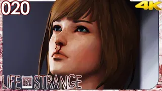 Gefangen im Zeitchaos  📸 Life is Strange #20