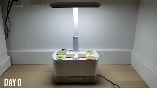 Aerogarden: 95 Day Hierloom Cherry Tomato Time-lapse