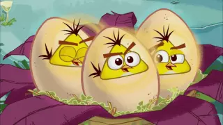 Angry Birds Toons - Season 1, Episode 5: Egg Sounds