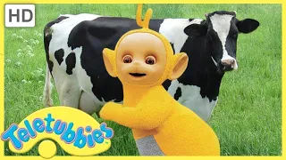 Milking Cows - Teletubbies English Full Episodes (S06E136)