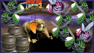 Cannot wait to see more! - DKC3 Ascension