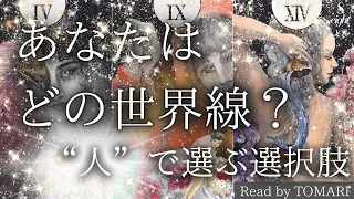 【タロット】世界観ちがいすぎ😳選択肢はeightスタッフ🐅❤️eightの超新星⭐️泊のオラクルリーディングナイト🌕