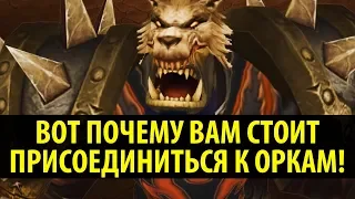 ВОТ ПОЧЕМУ ВАМ СТОИТ ПРИСОЕДИТЬСЯ К ОРКАМ В WORLD OF WARCRAFT!