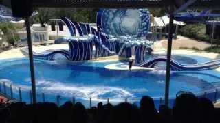 Blue Horizons (Full Show) @ SeaWorld