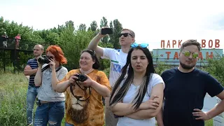 Экстремальная кормежка львов а Тайгане.Крым
