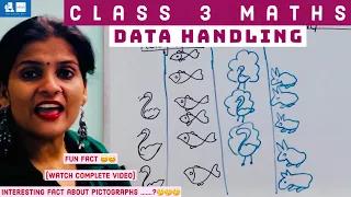 Data Handling for Class 3 | Class 3 Maths | Tally Class 3 | Pictograph