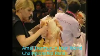 OMC hair world championship Paris | Amal Hermuz #HairstylesChannel