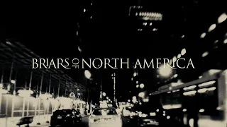 Briars of North America: "Same Old Lady" [inspired by Karen Dalton's 'Same Old Man']