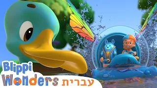 למידה על ברווזים 🦆 קריקטורות בעברית לילדים | ללמוד על בעלי חיים | @BlippiWonders - בליפי בעברית