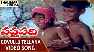 Saptapadi Movie || Govullu Tellana Video Song || Somayajulu, Ravikanth, Sabita || Shalimarcinema