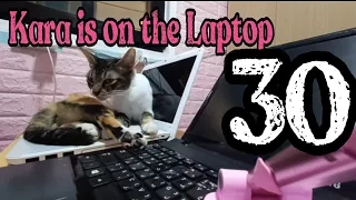 KARA IS ON THE LAPTOP | VLOG 30