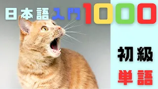 【初級日本語】スピード入門｜基礎単語1000（CC字幕付き）