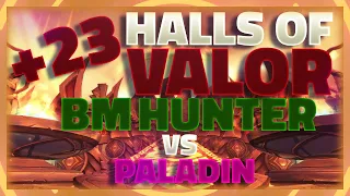 🏹 +23 Halls of Valor BM HUNTER POV vs Paladins  Season 1 🚀