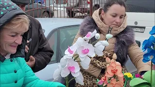 Сельские голуби. 27 02 2022г часть 2, г Кропоткин ярмарка голубей декоративных птиц.