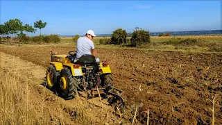 Tractor Pasquali 425 la arat cu plug Olivero - Toamna 2020