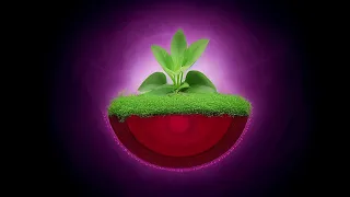 24 Hours Music for Plants - Music Stimulation for PLANT HEALTH - Brainwave Entrainment