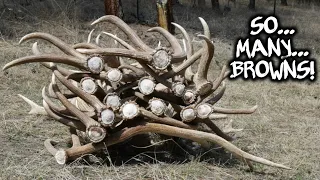 “Our Favorite Place” | Shed Hunting 2023