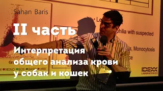 Интерпретация общего анализа крови у собак и кошек. 2 часть