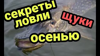 Секреты ЛОВЛИ ЩУКИ осенью!