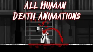 Zombie Night Terror - All Human/Enemy/Boss Death Animations