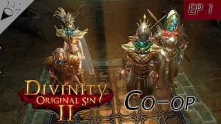 Lets Play | Divinity Original Sin 2 | Co-Op | Ep 1. Adventuring!