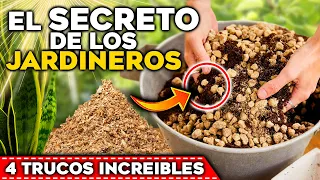 Los JARDINEROS y VIVEROS NO QUIEREN que SEPAS ESTO!! | 4 SECRETOS para CUIDAR tus PLANTAS y FLORES