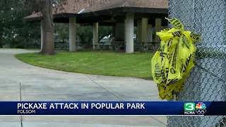 Man arrested after attacking people with a pickaxe and injuring a man in Folsom City Park