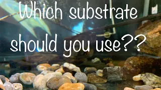 Best Turtle Substrate | Turtle Tank Setup | Gravel , Rock , Sand or Nothing