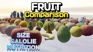 Fruit Comparison : Fruit's Size, Calorie, Nutrition 3D Animation (흔한 과일 크기, 에너지, 영양소 비교 : 3D 애니메이션)
