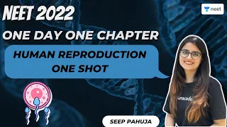 Human Reproduction | One Shot | One Day One Chapter | NEET 2022 | Seep Pahuja | Unacademy NEET