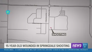 Springdale teens charged with attempted murder after George Park shooting