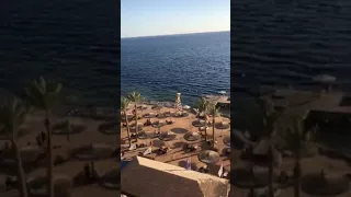 Пляж 🏖 отеля Риф Оазис Блю Бей 5* Шарм Египет 🇪🇬