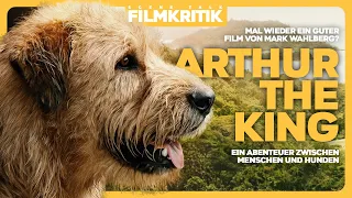 ARTHUR DER GROßE | Kritik/Review | Mark Wahlberg & ein Hund rennen 445 Meilen durch den Dschungel