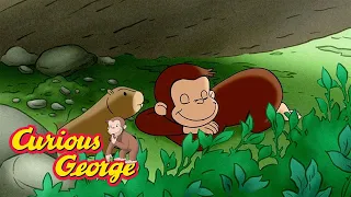 George Takes a Nap 🐵 Curious George 🐵 Kids Cartoon 🐵 Kids Movies