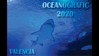 Oceanografic  - Valencia 2020 4K