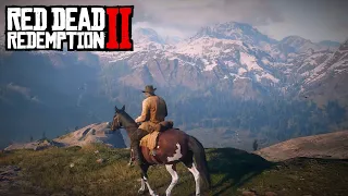 Red Dead Redemption 2 | PS4 Slim Performance