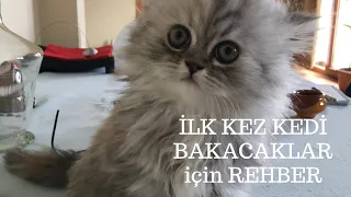 İlk kez kedi sahiplenecekler için detaylı kedi bakımı kılavuzu