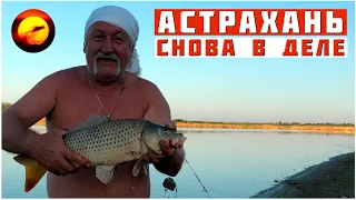 Пенсионер снова в деле / На рыбалке в Астрахани