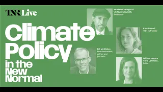 Climate Policy in the New Normal