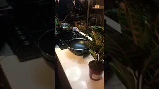 Silver Utensils, plates, non stick pans at IKEA